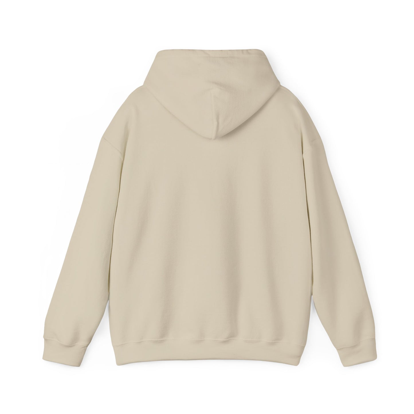Gulf of America Hoodie